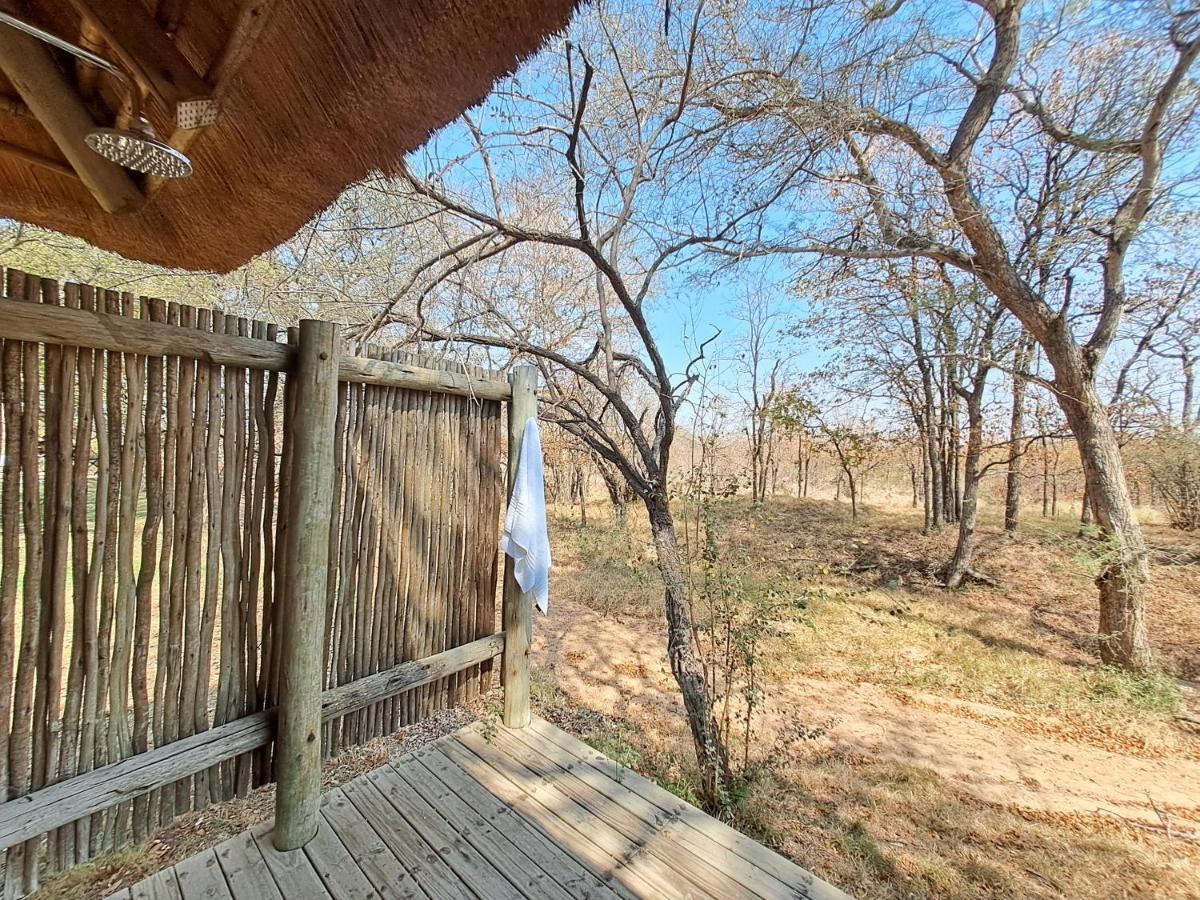 Vila Xanatseni Private Camp Klaserie Private Nature Reserve Exteriér fotografie